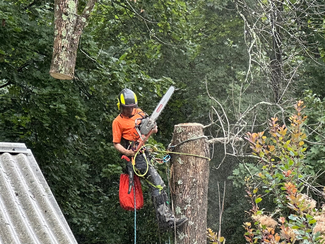 Top Notch Tree, Inc. - Rockland, MA
