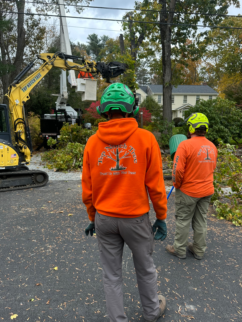 Top Notch Tree, Inc. - Rockland, MA