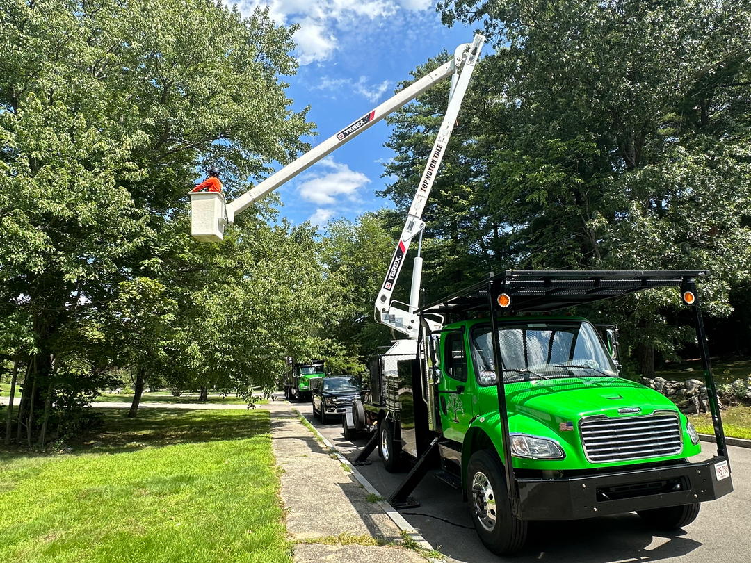 Top Notch Tree, Inc. - Rockland, MA