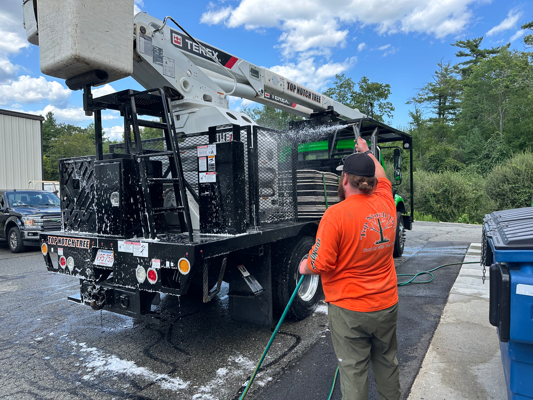 Top Notch Tree, Inc. - Rockland, MA