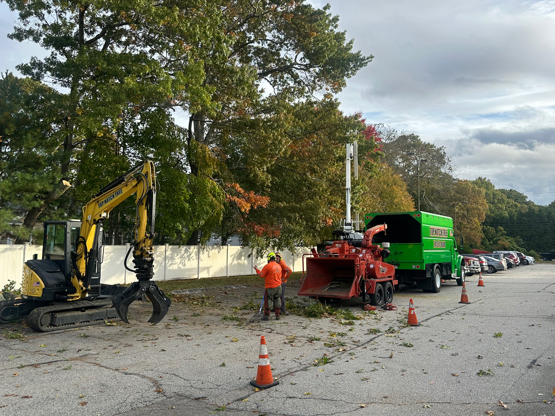 Top Notch Tree, Inc. - Rockland, MA