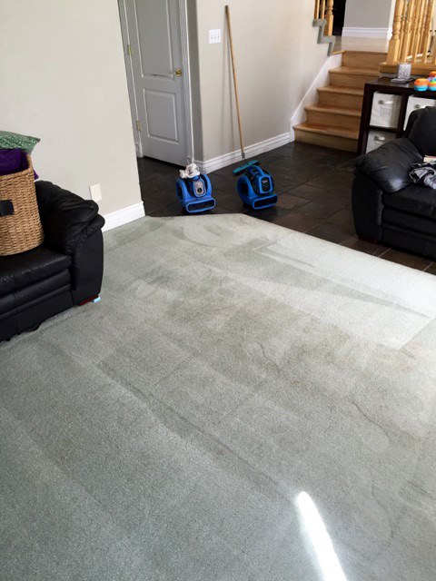 Power Plus Cleaning Image