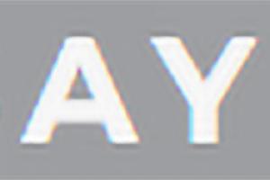 Did You Say Remodel LLC Logo