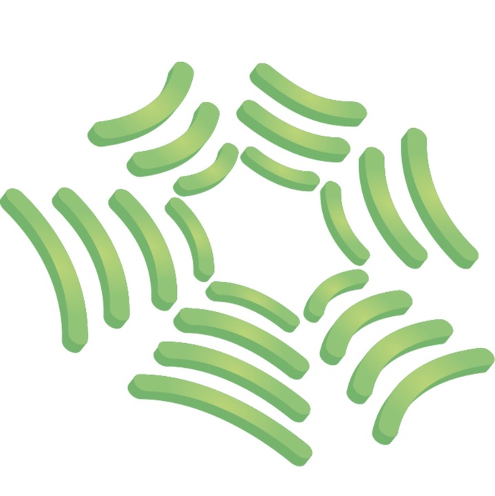 Altamont Healthcare Logo
