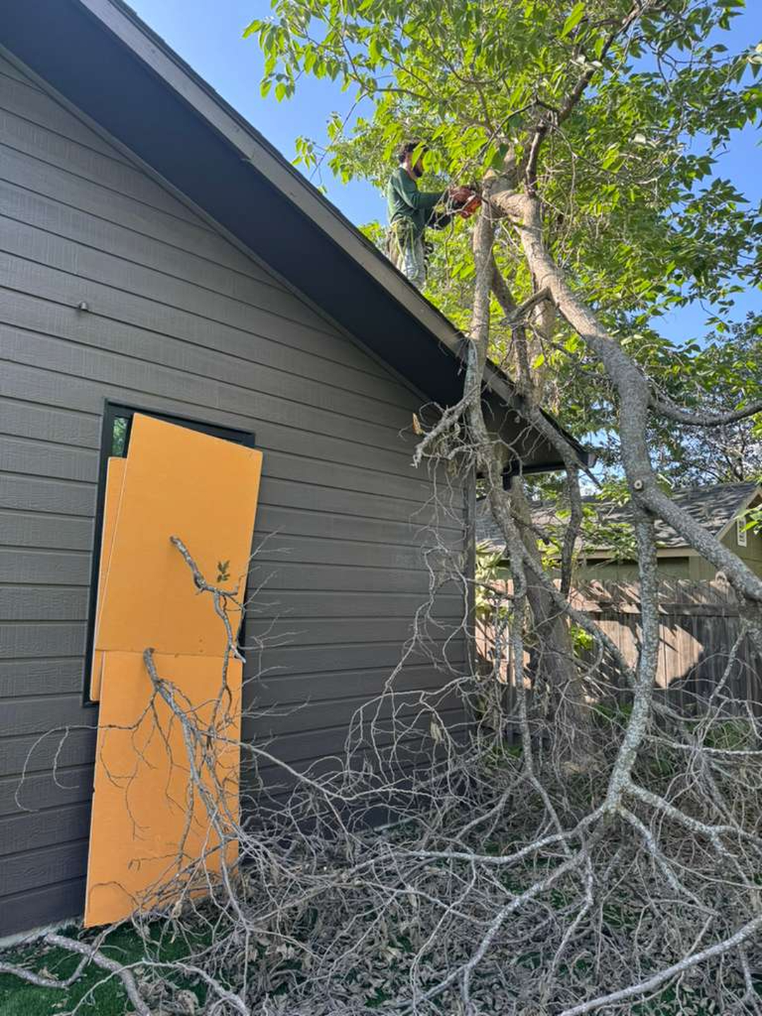 Douglas Tree Service ATX - Austin, TX