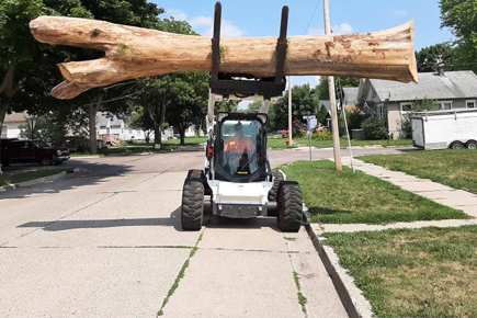 Hunt's Tree & Debris, LLC - Fairmont, MN