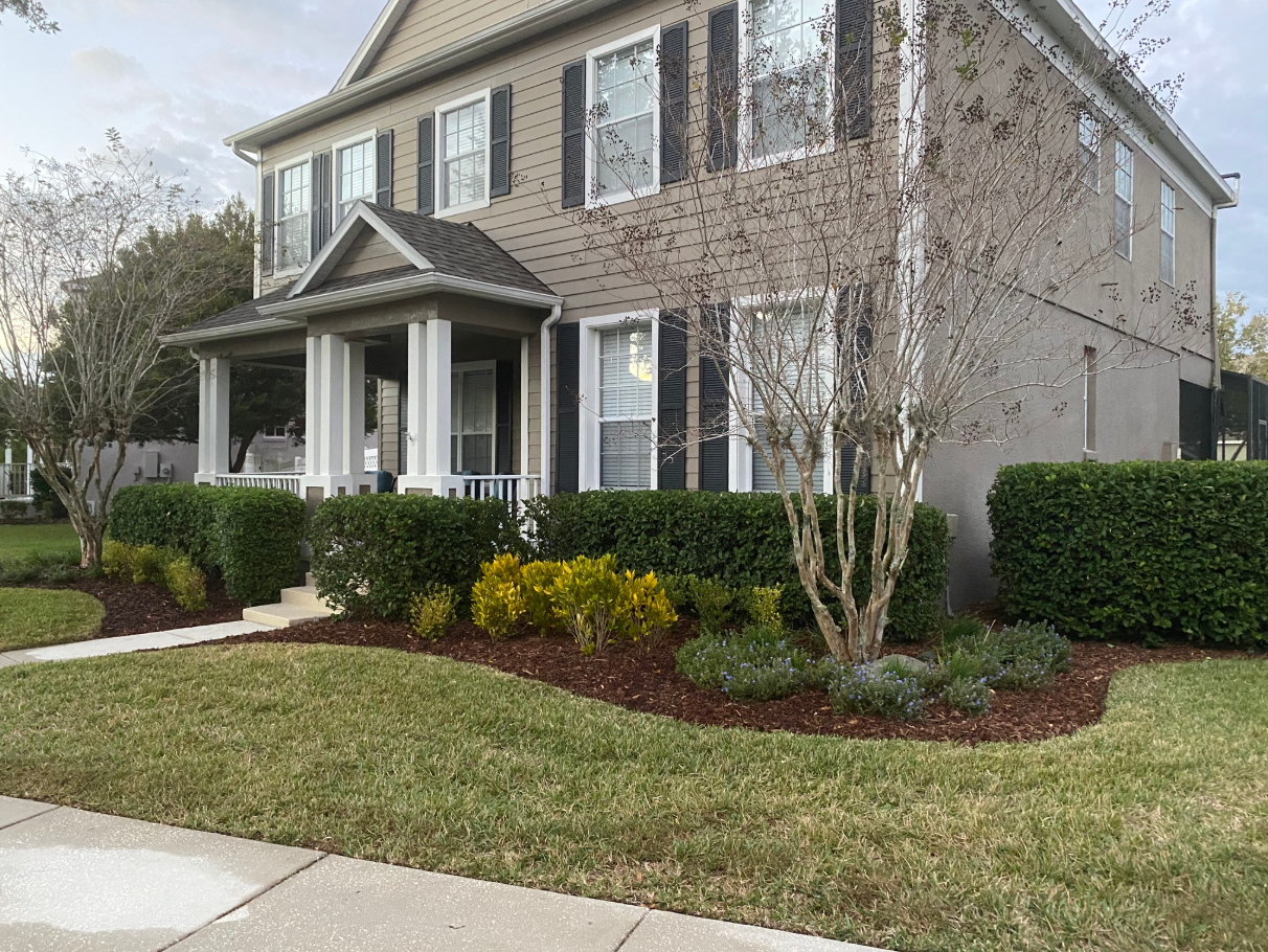 Misty Morning Landscaping Image