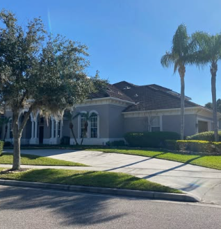 Misty Morning Landscaping Image