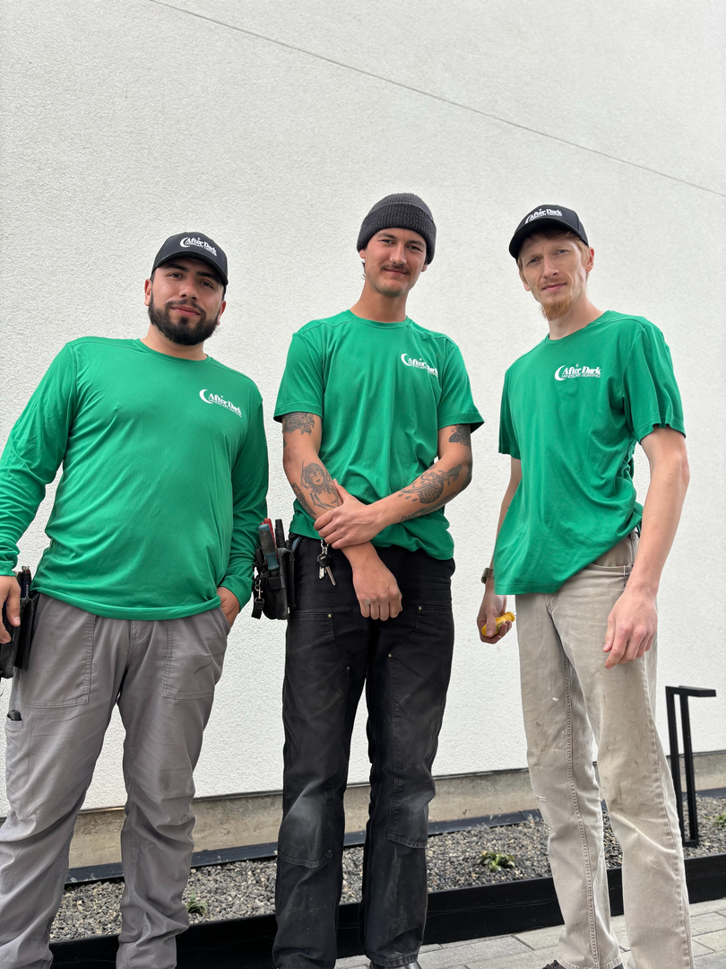 After Dark Landscape Lighting Image