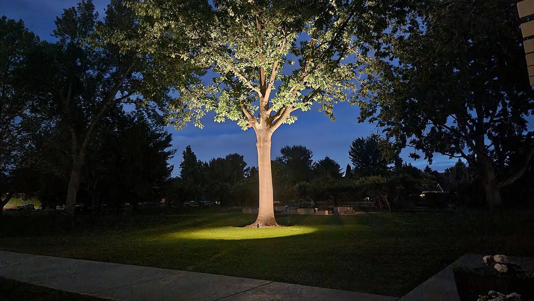 After Dark Landscape Lighting Image