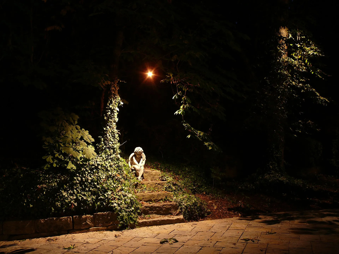 After Dark Landscape Lighting Image