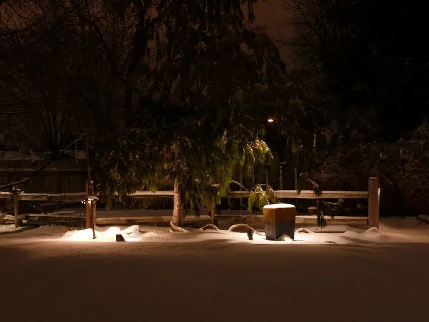 After Dark Landscape Lighting Image