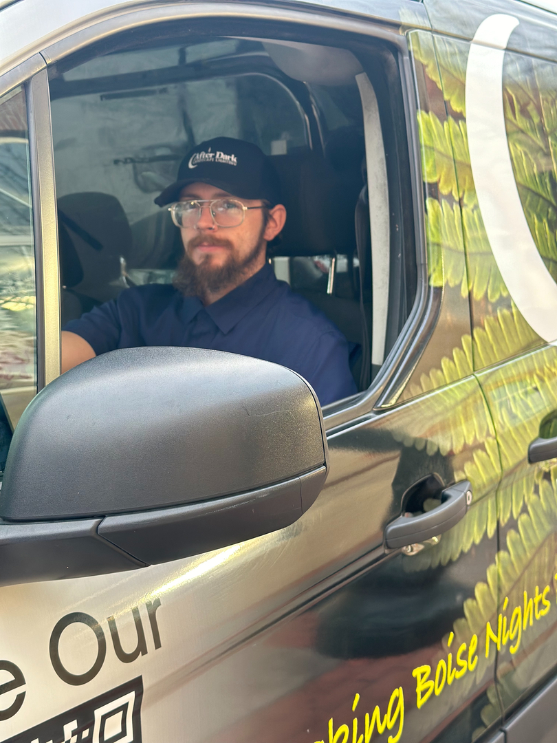 After Dark Landscape Lighting Image