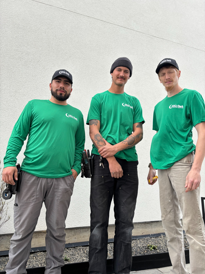 After Dark Landscape Lighting Image