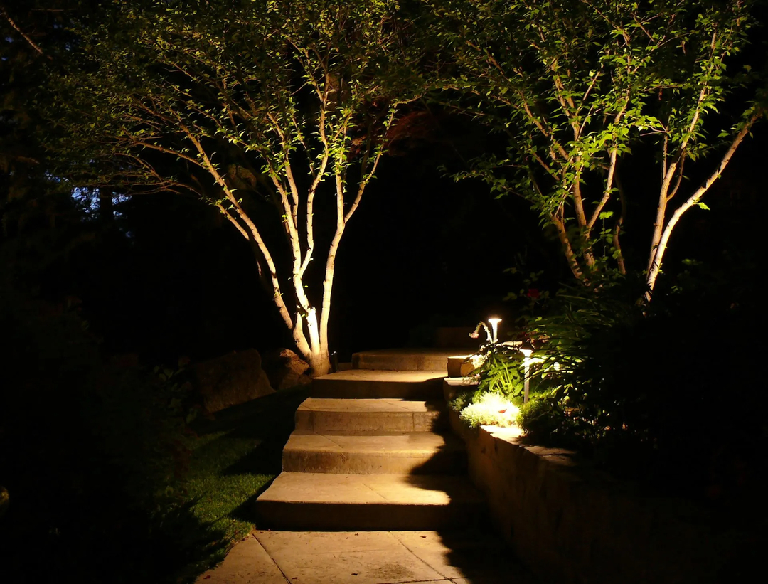 After Dark Landscape Lighting Image