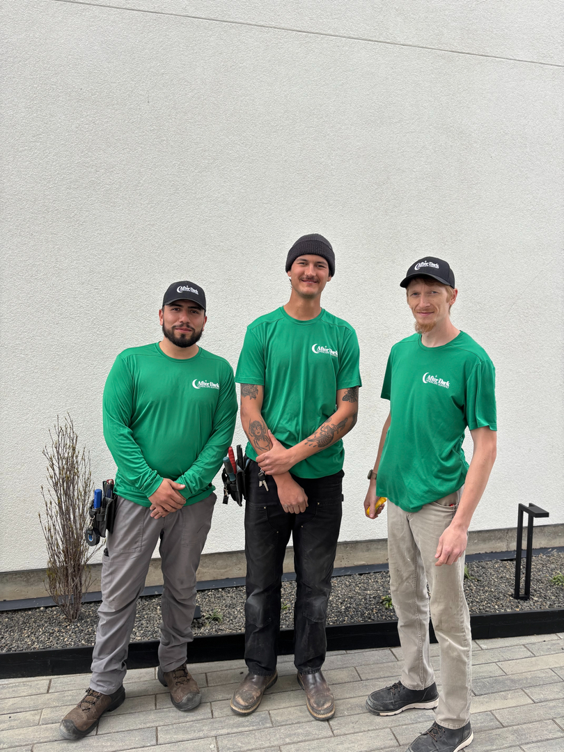 After Dark Landscape Lighting Image