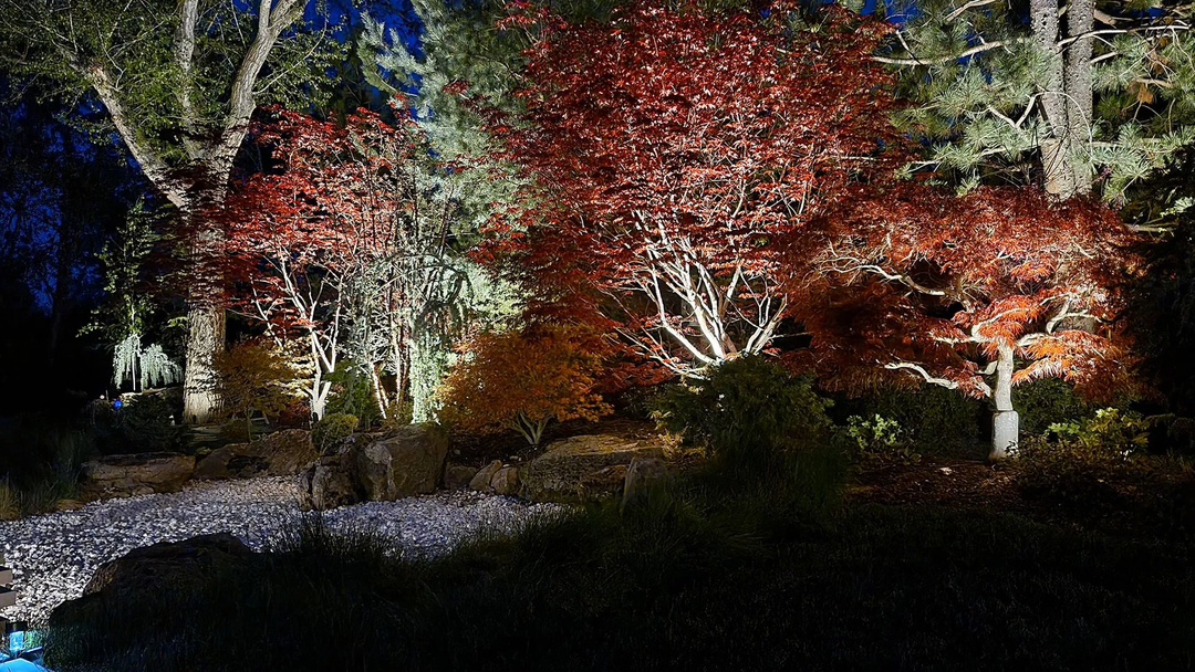 After Dark Landscape Lighting Image