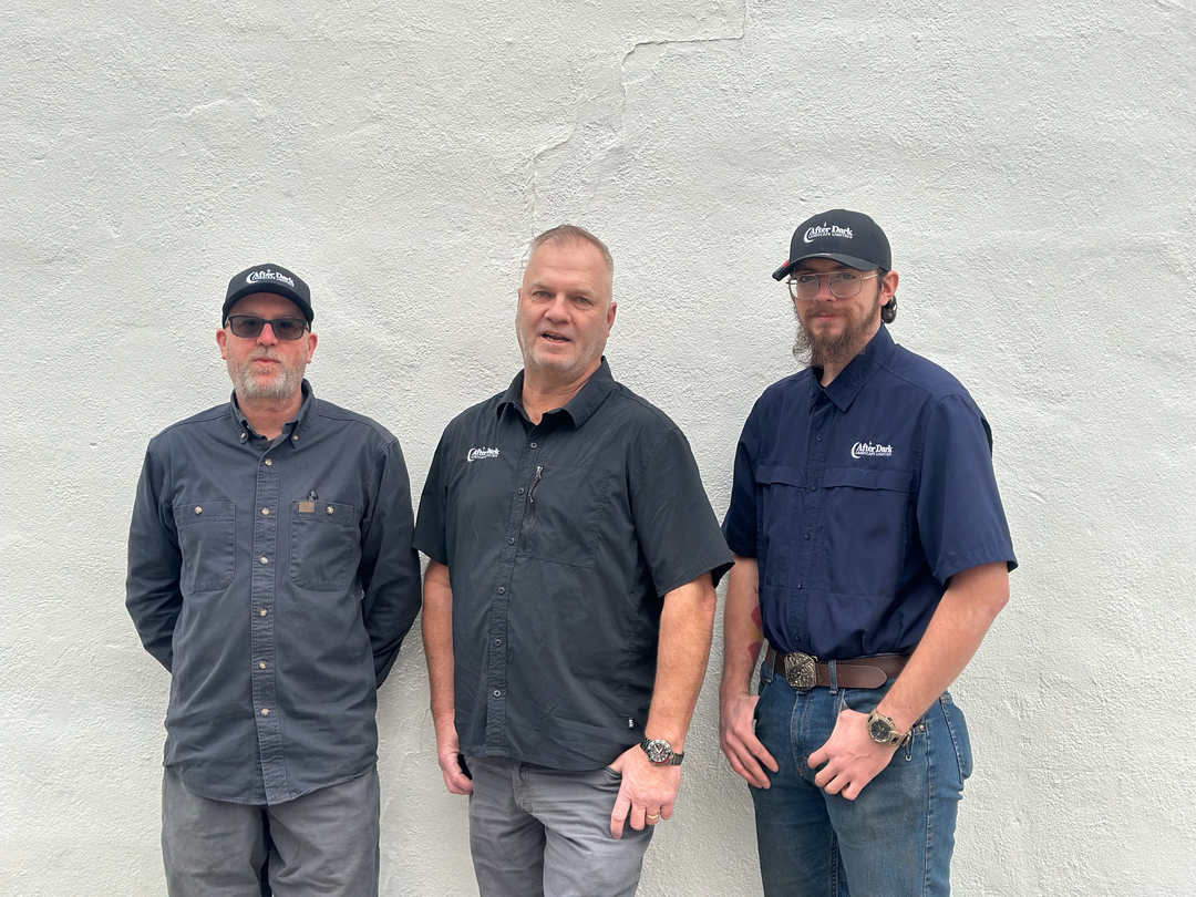 After Dark Landscape Lighting Image