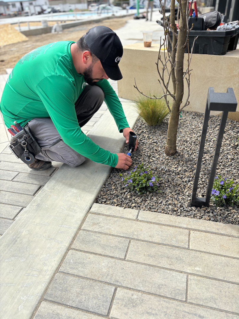 After Dark Landscape Lighting Image