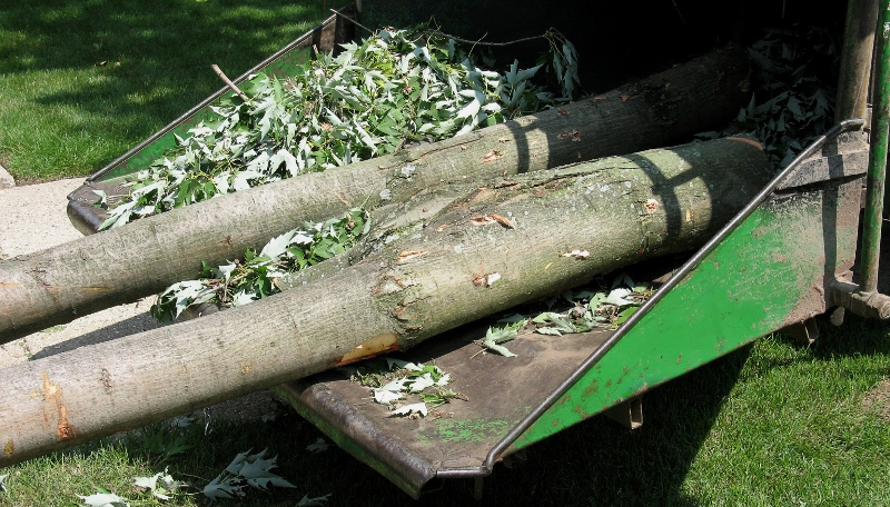 Giffin's Tree Service - Circleville, OH