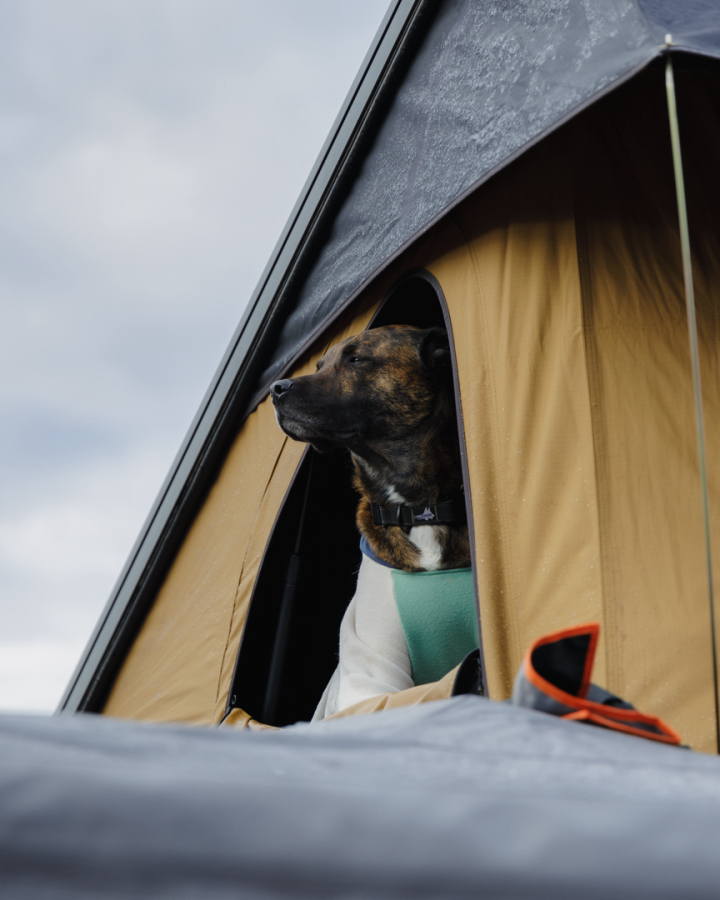 4x4 Colorado Showroom & 4WD Service Center Image