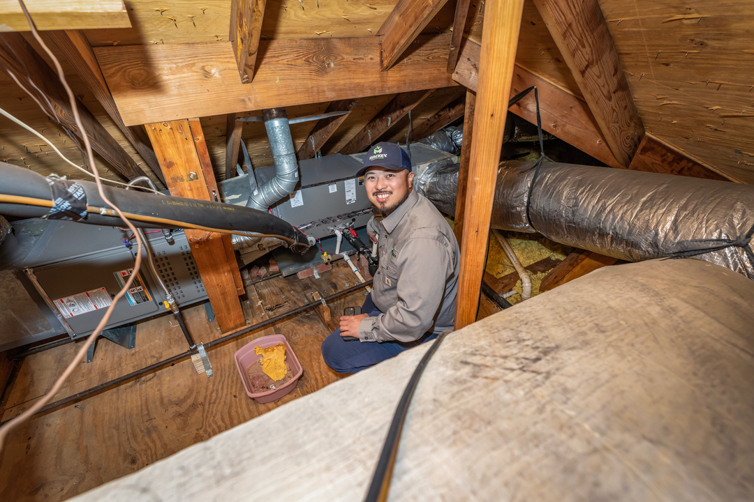 Mackey Services Image