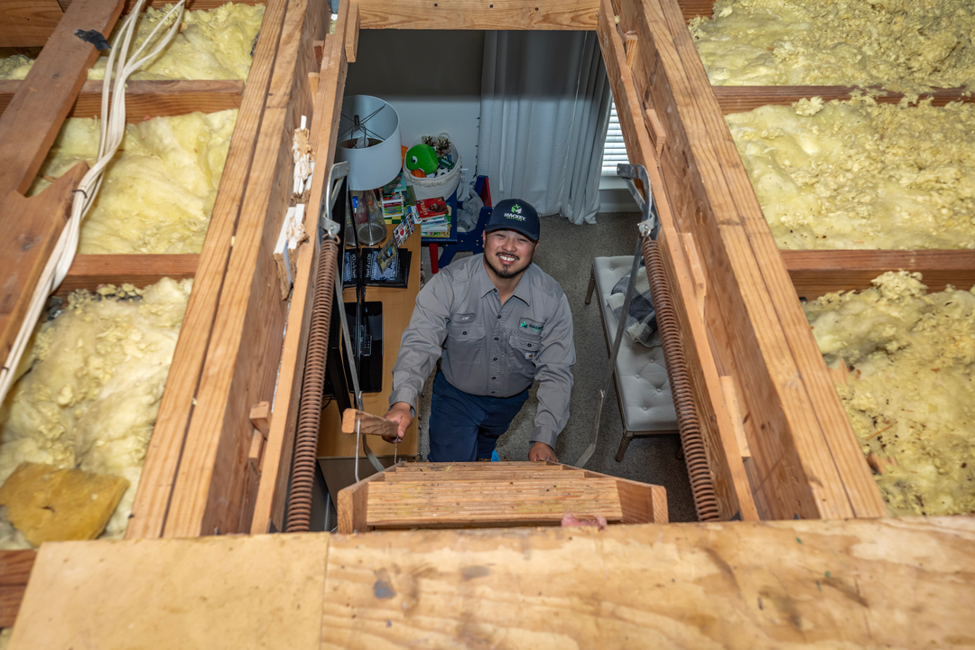 Mackey Services Image