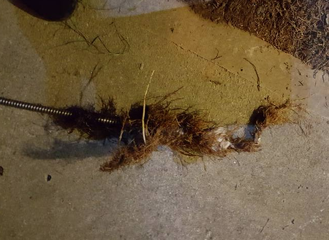 Georgia Plumbing Solutions Co. Image