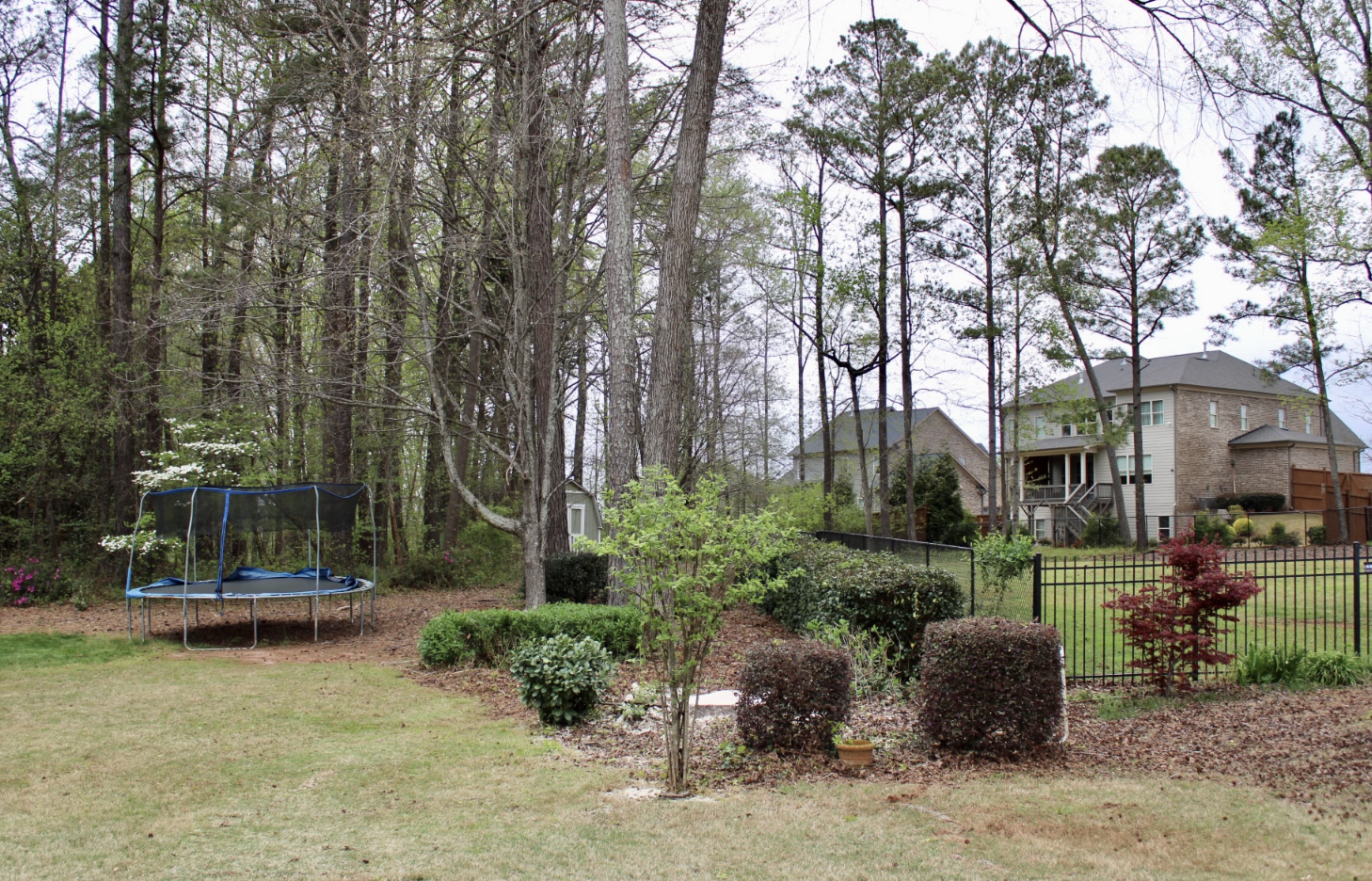 Live Green Tree Service LLC Image