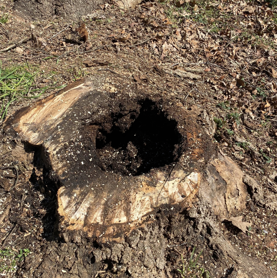 Live Green Tree Service LLC Image