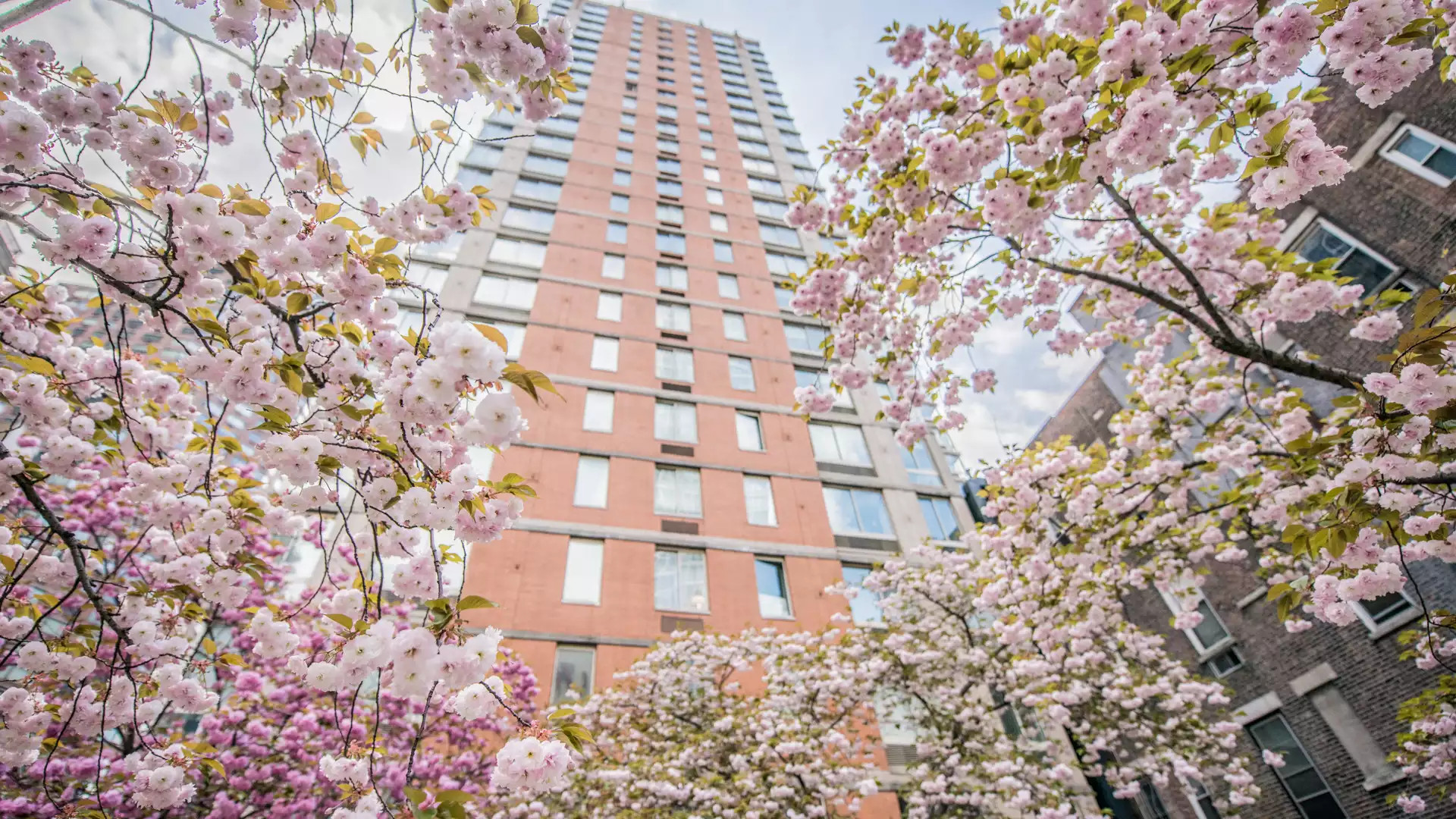 Longacre House Apartments - New York, NY