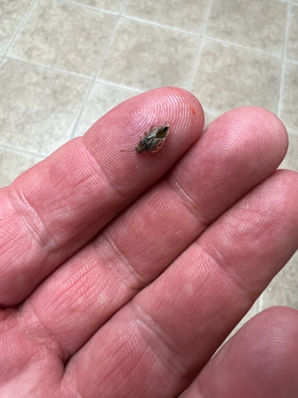 Source Pest Control - Temecula, CA