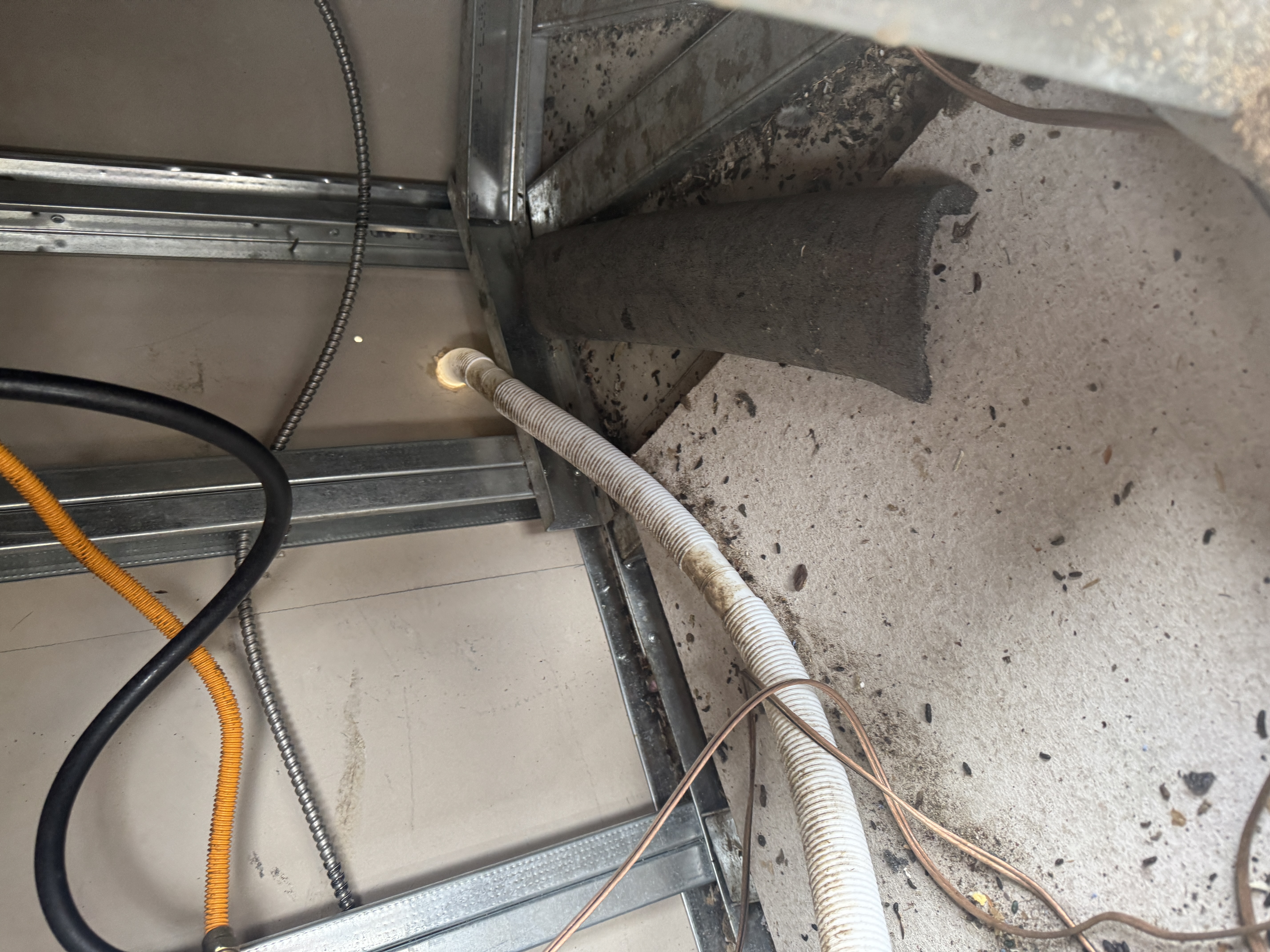 Source Pest Control - Temecula, CA