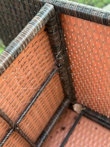 Source Pest Control - Temecula, CA