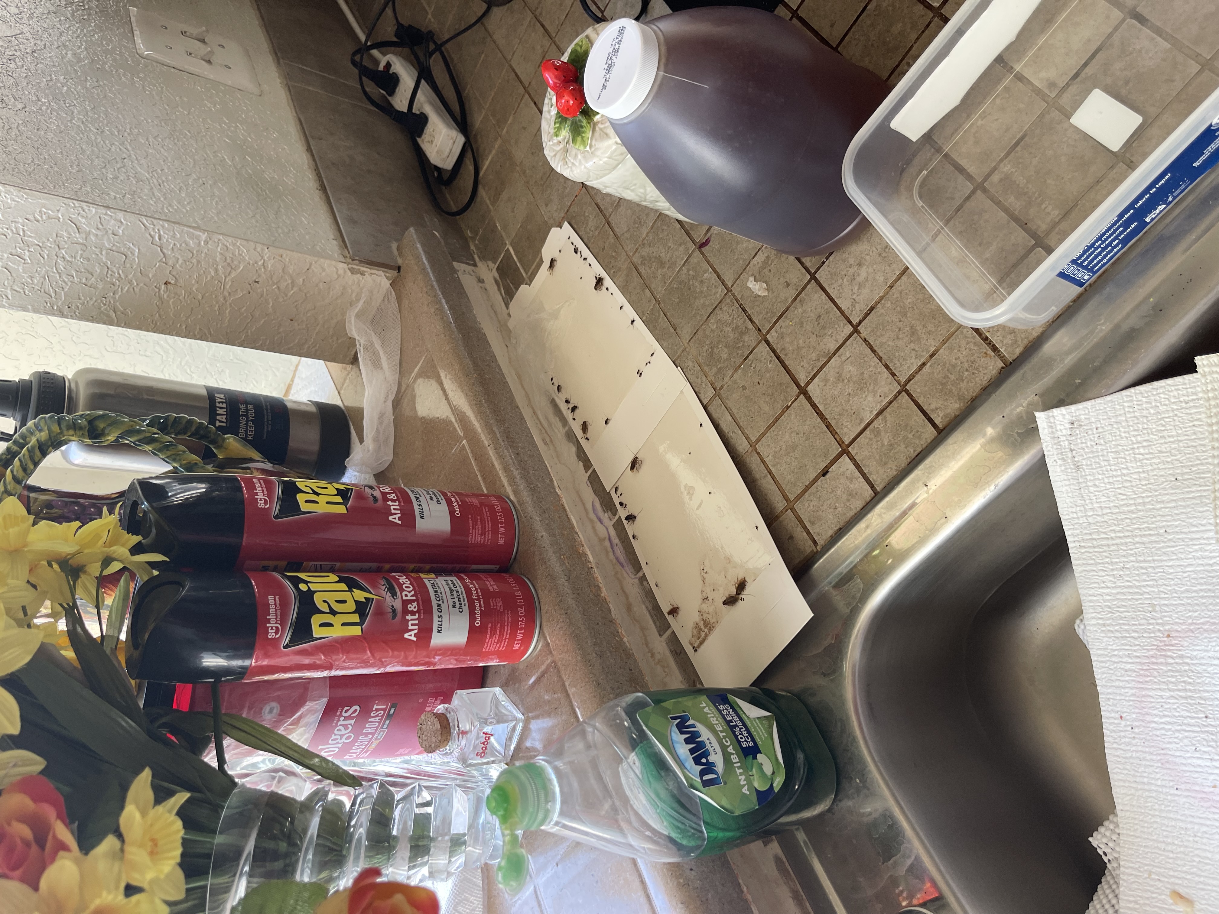 Source Pest Control - Temecula, CA