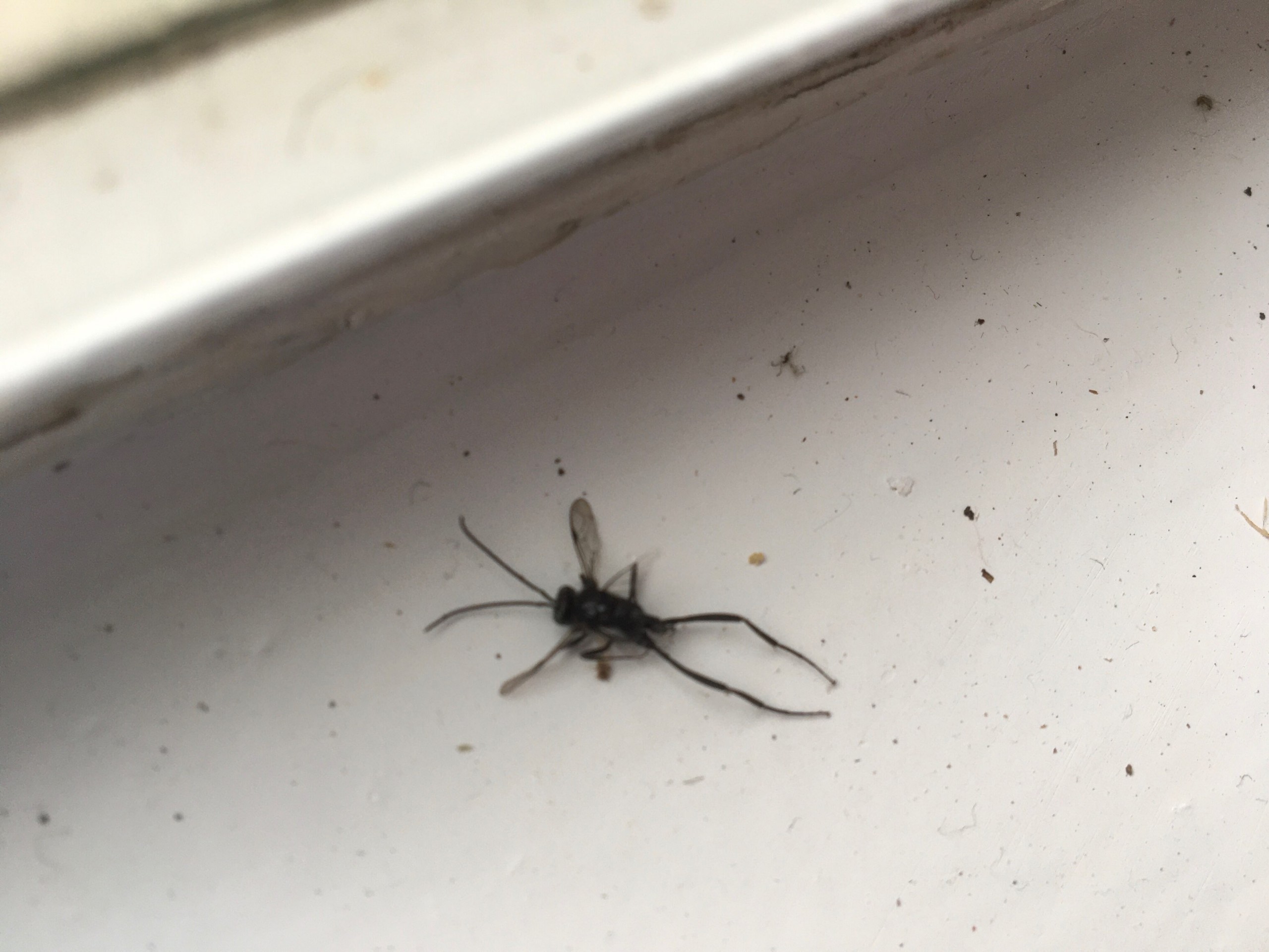 All N-1 Pest Control Management LLC Image