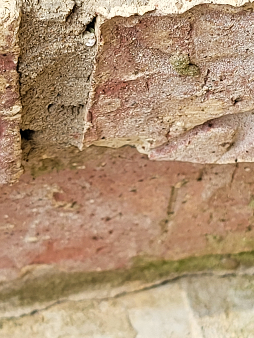 All N-1 Pest Control Management LLC Image