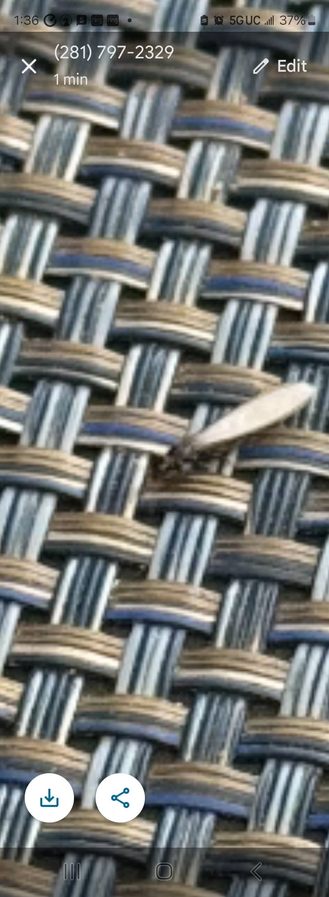 All N-1 Pest Control Management LLC Image