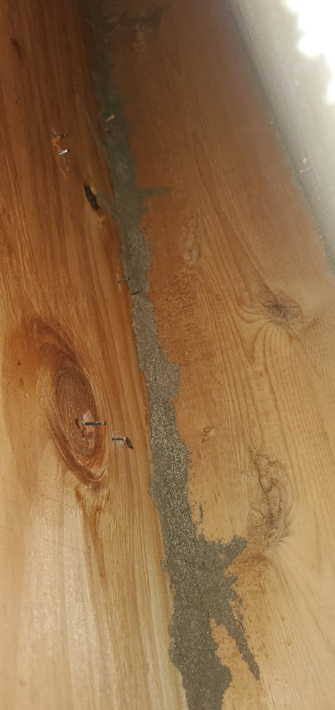 All N-1 Pest Control Management LLC Image