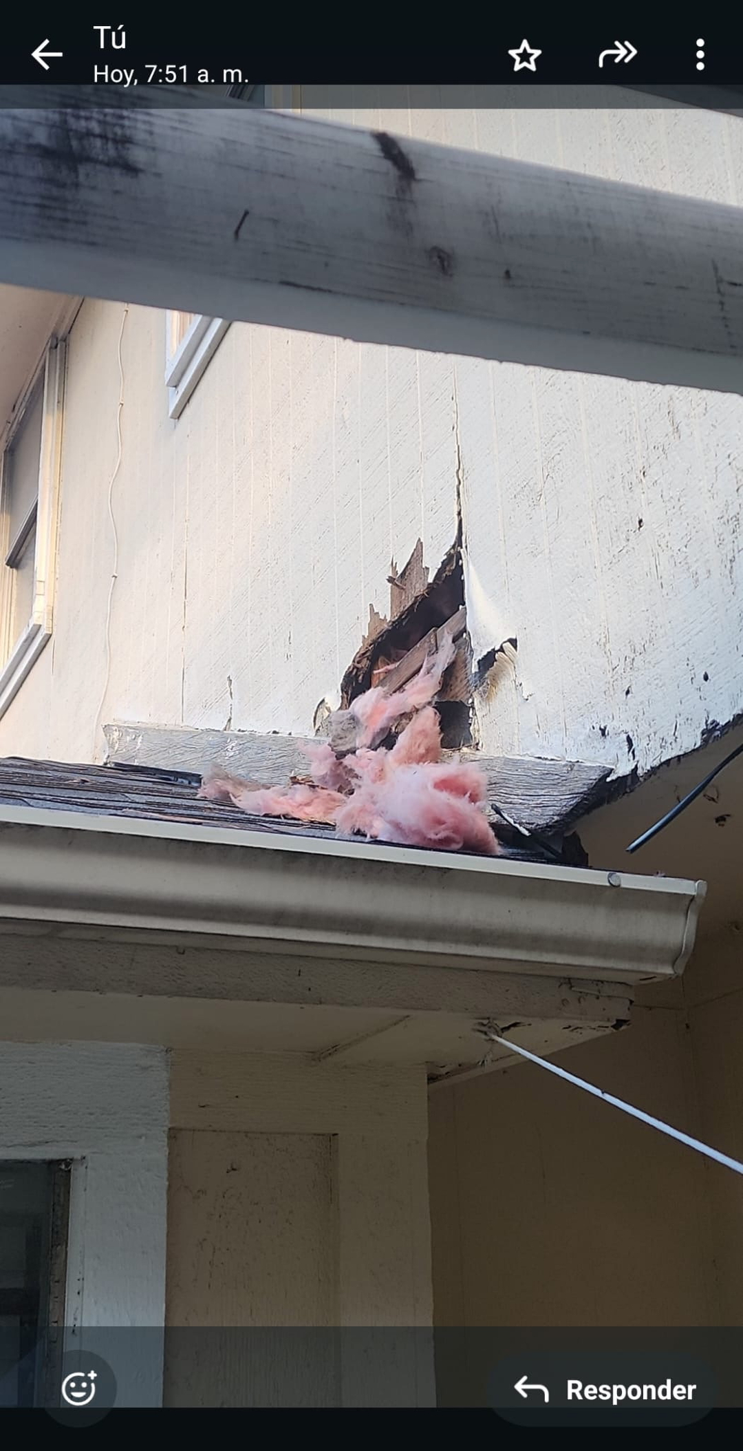 All N-1 Pest Control Management LLC Image