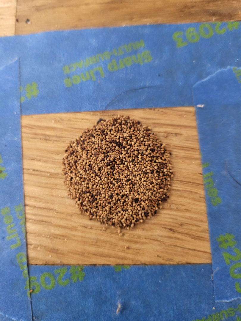 All N-1 Pest Control Management LLC Image