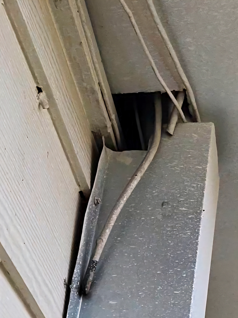 All N-1 Pest Control Management LLC Image