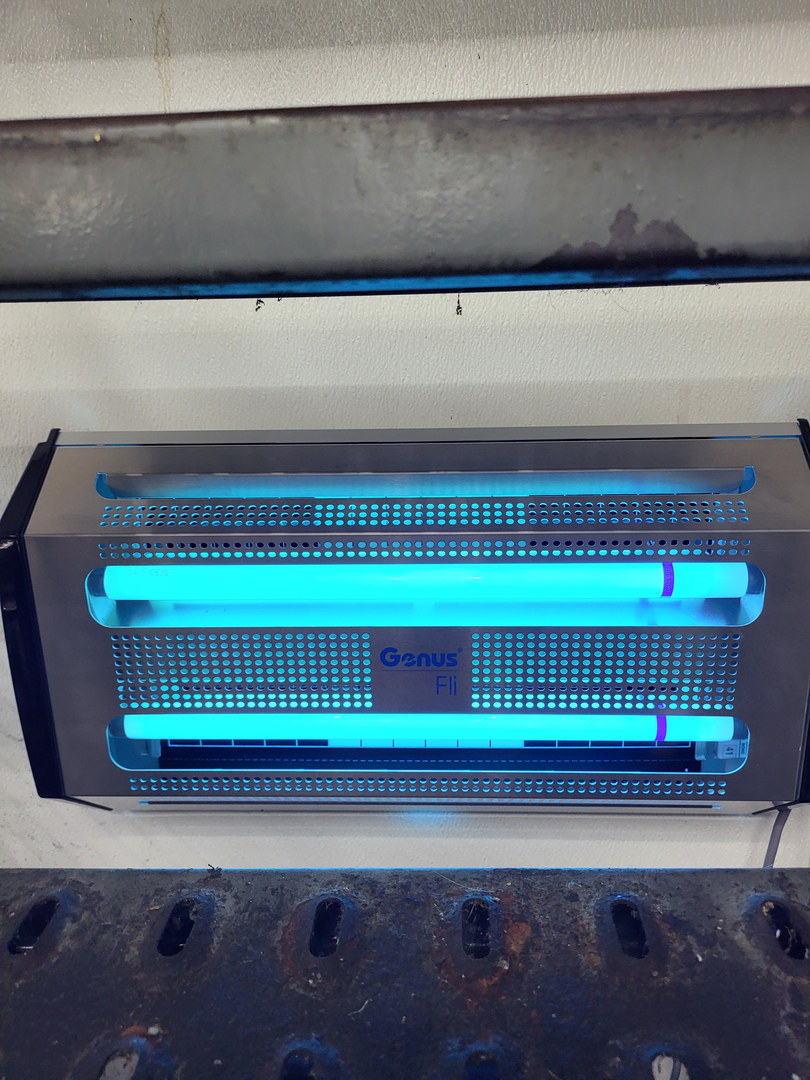 All N-1 Pest Control Management LLC Image