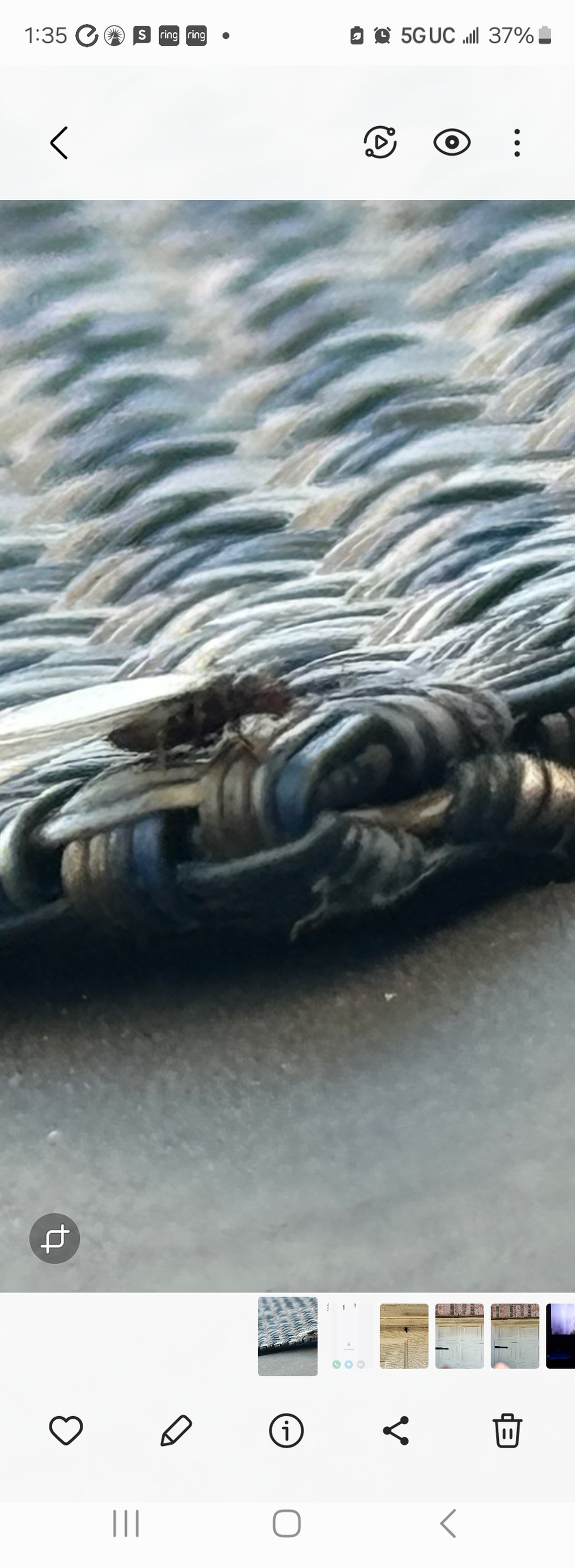 All N-1 Pest Control Management LLC Image