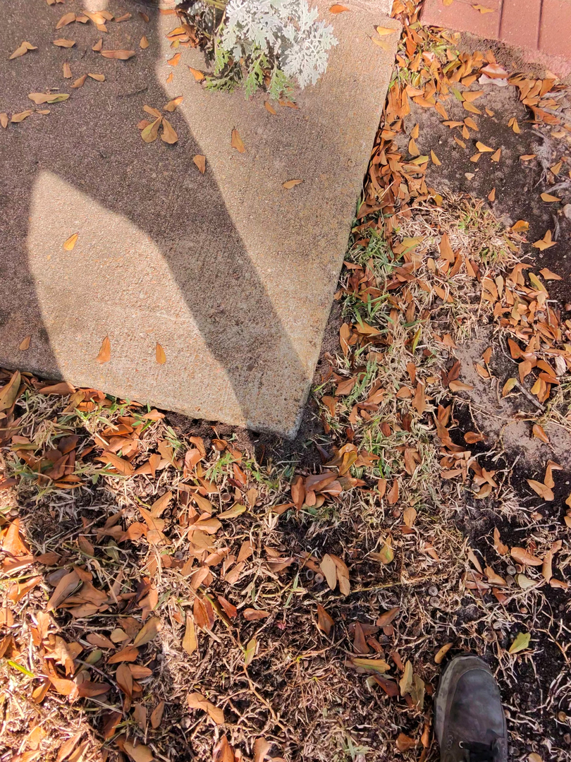 All N-1 Pest Control Management LLC Image