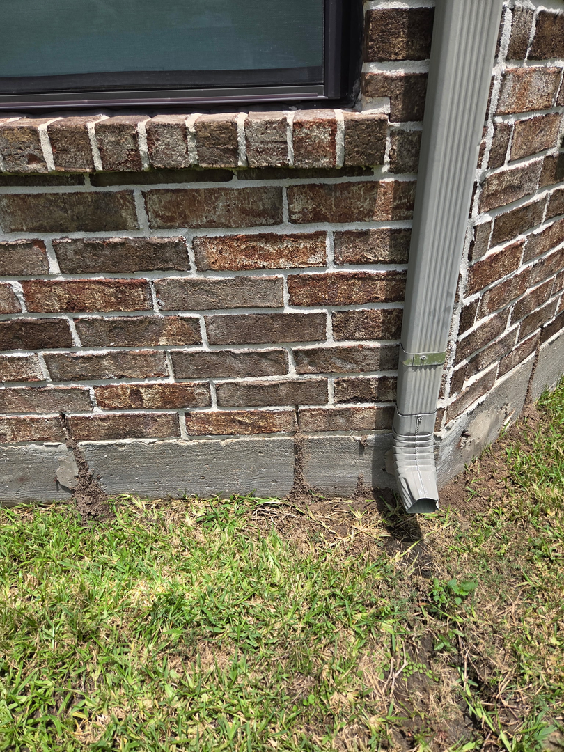 All N-1 Pest Control Management LLC Image