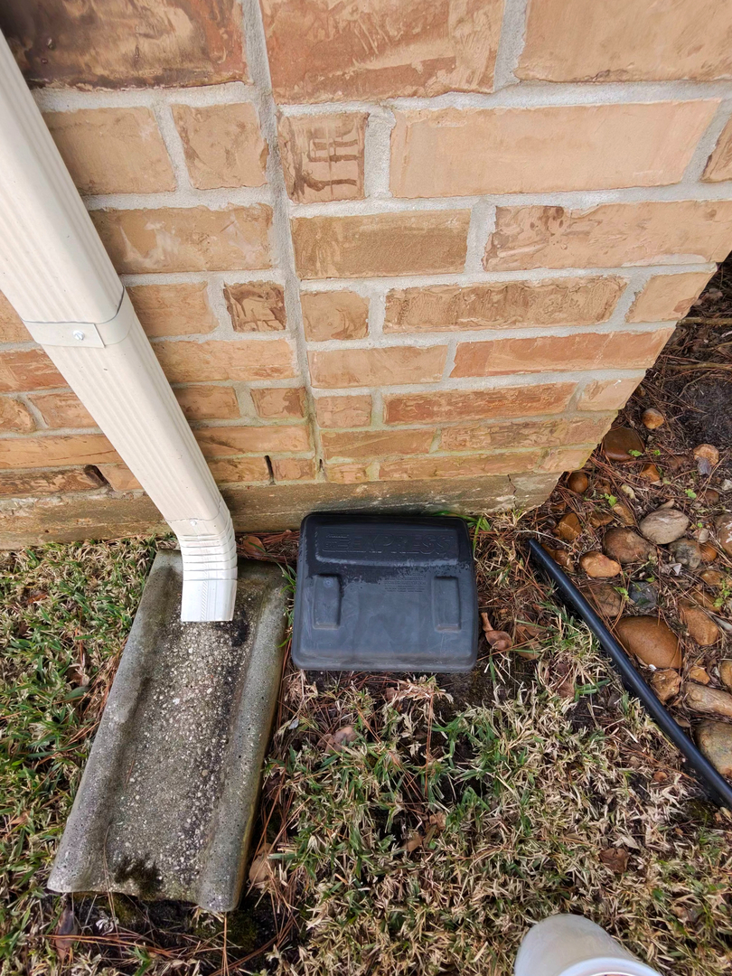 All N-1 Pest Control Management LLC Image