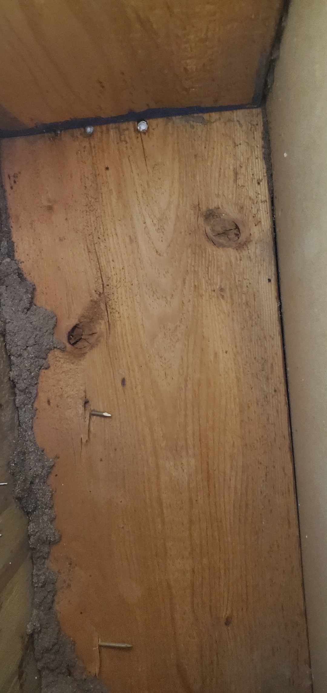 All N-1 Pest Control Management LLC Image