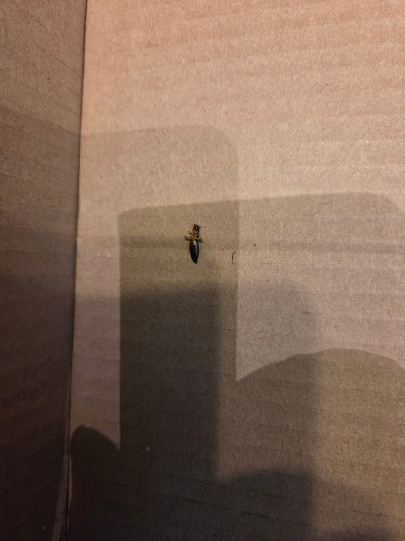 All N-1 Pest Control Management LLC Image