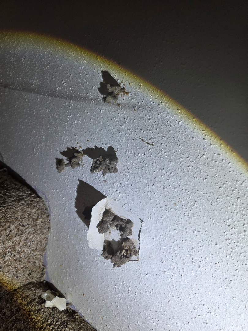 All N-1 Pest Control Management LLC Image